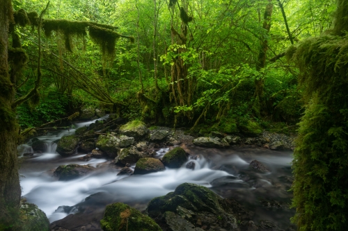 WALD Frédéric Demeuse Lost river Forgotten places Pyrenees